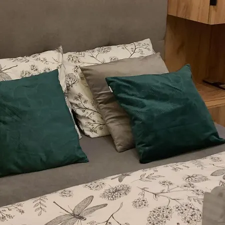 24 מיסלוביצה