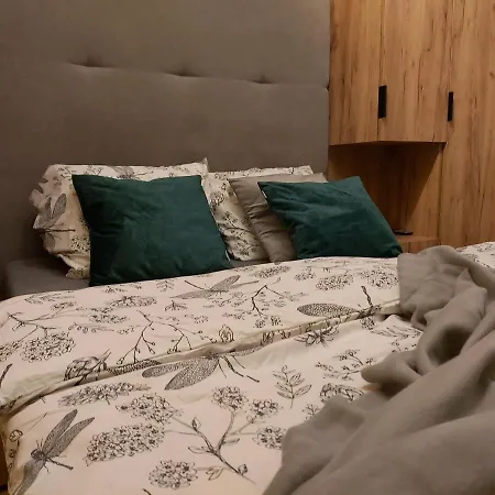 24 מיסלוביצה