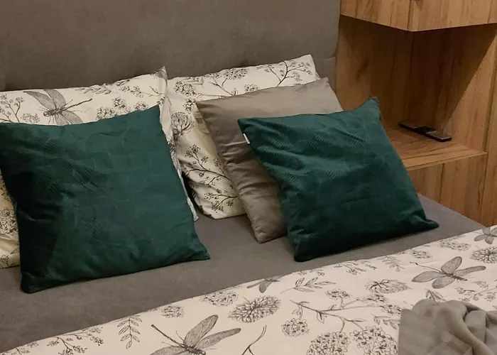 24 מיסלוביצה