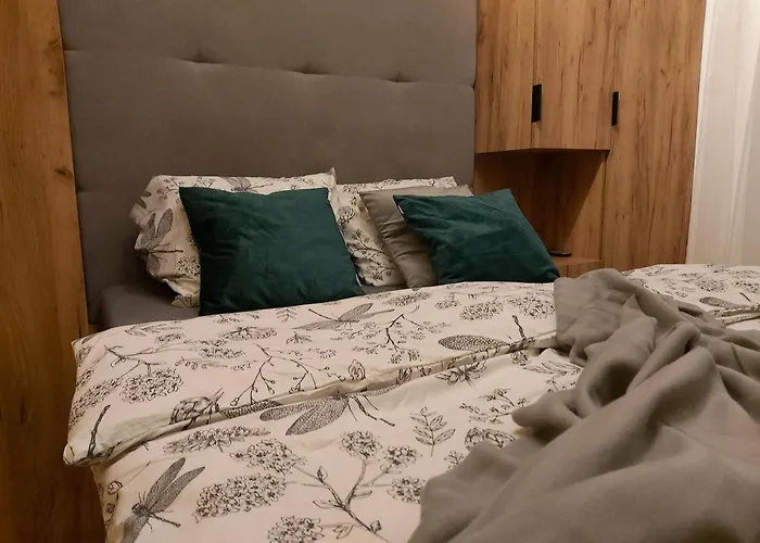 24 מיסלוביצה